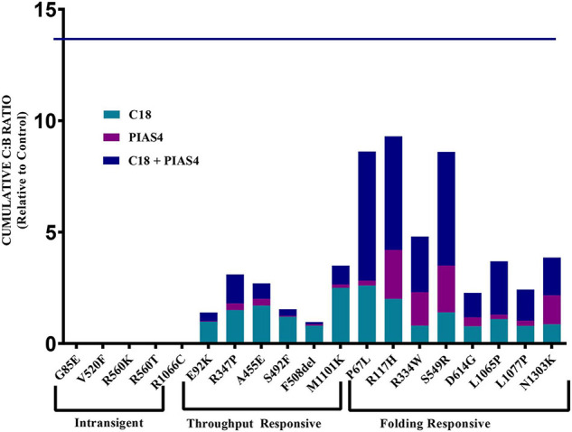 FIGURE 6