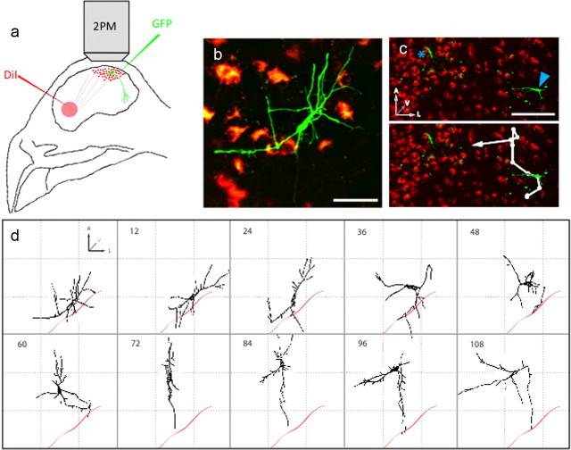 Figure 3.