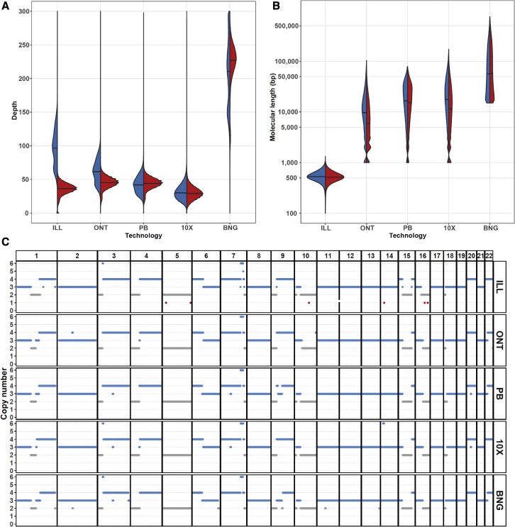 Figure 1