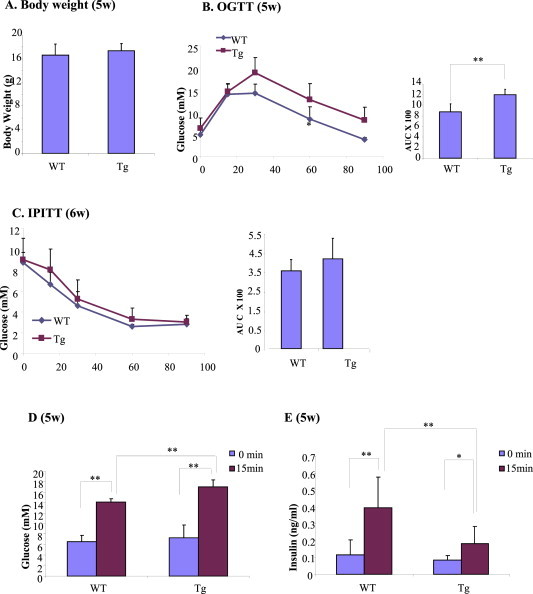 Figure 2