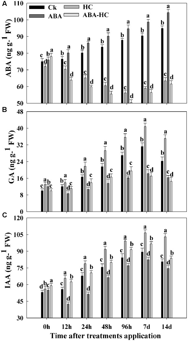 FIGURE 2