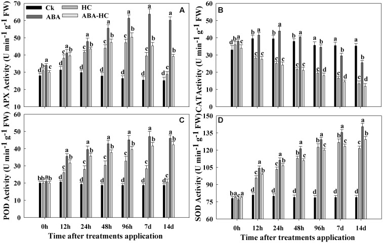 FIGURE 3