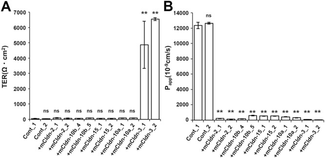 Fig. 8