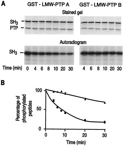 FIG. 8.