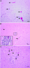 Fig. 3.