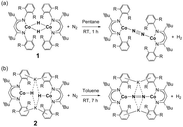 Scheme 1