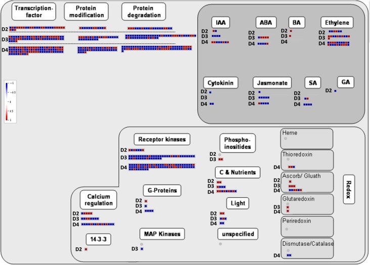 Figure 7.