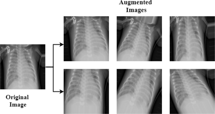 Fig. 6