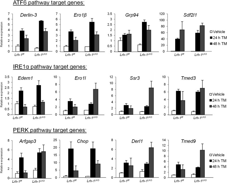 Figure 1—figure supplement 1.