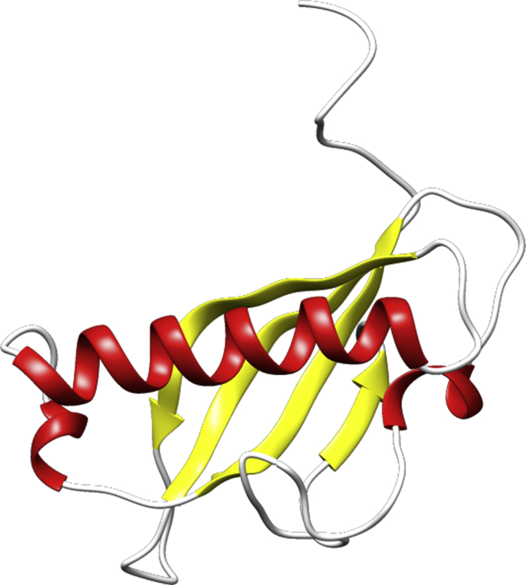 Fig. 1