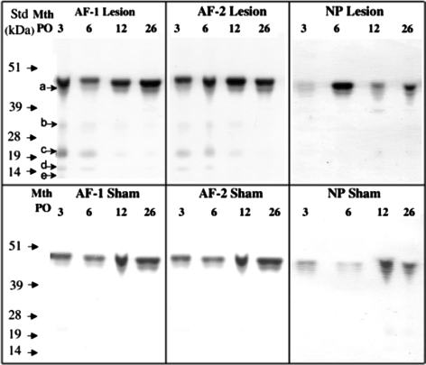 Fig. 5