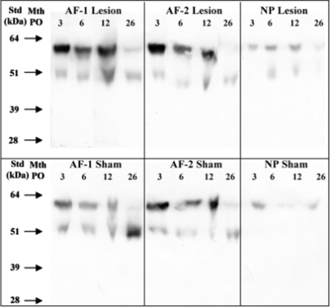 Fig. 7