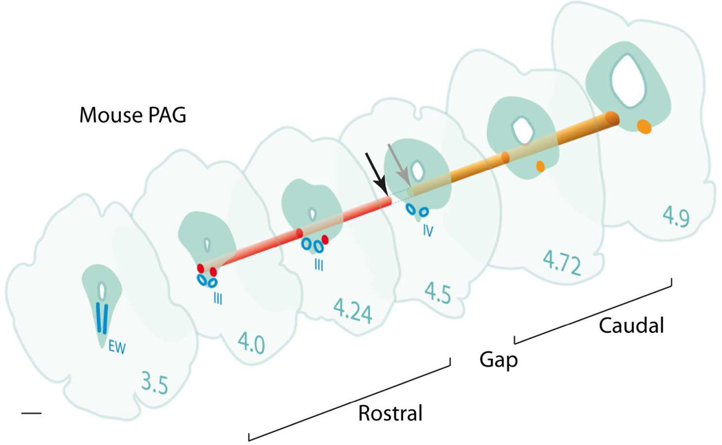 Fig. 11