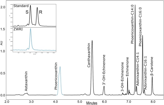 Fig. 2.