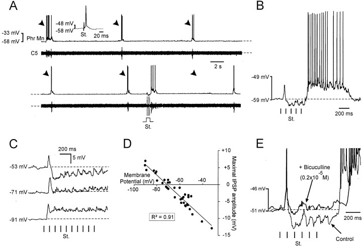 Fig. 5.