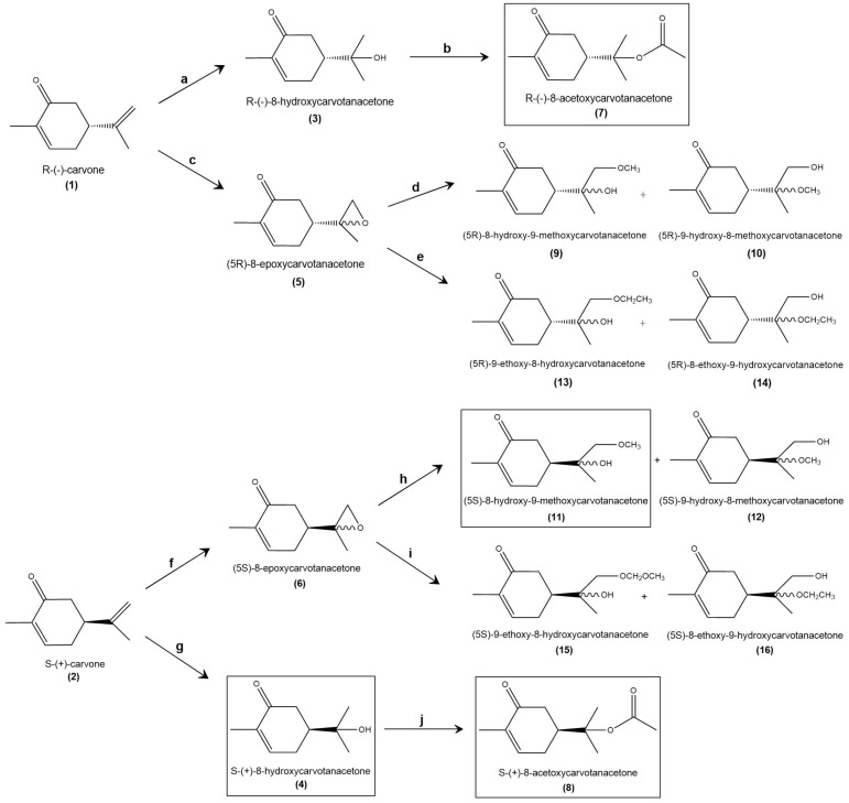 Scheme 1