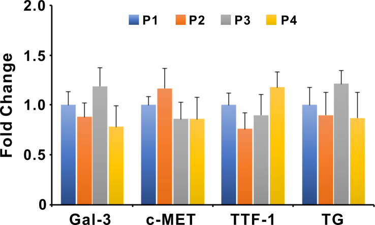 Figure 6