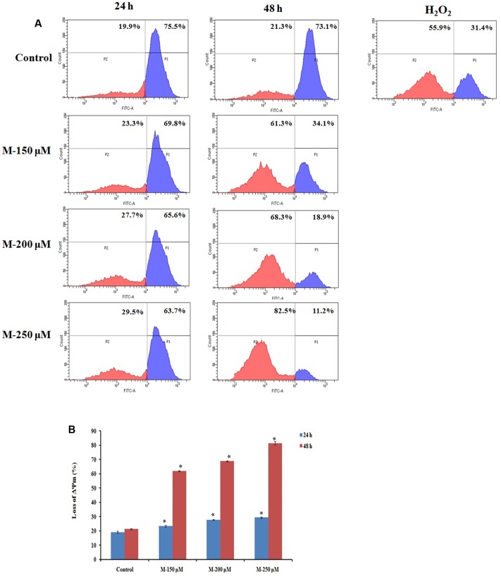 FIGURE 4