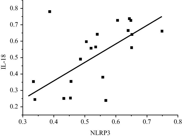 Fig. 10