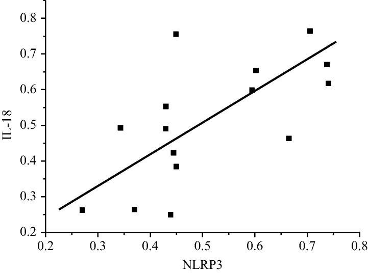 Fig. 12