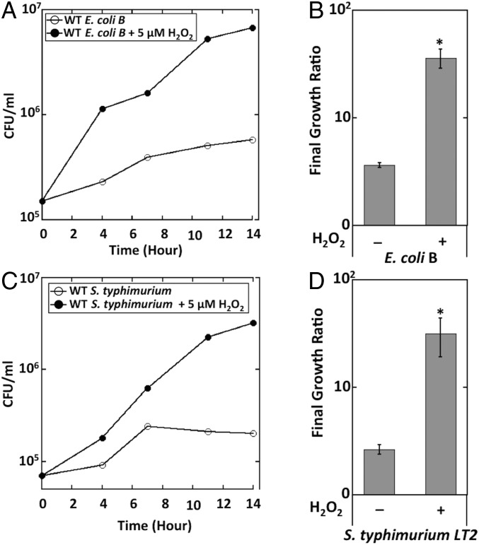 Fig. 9.