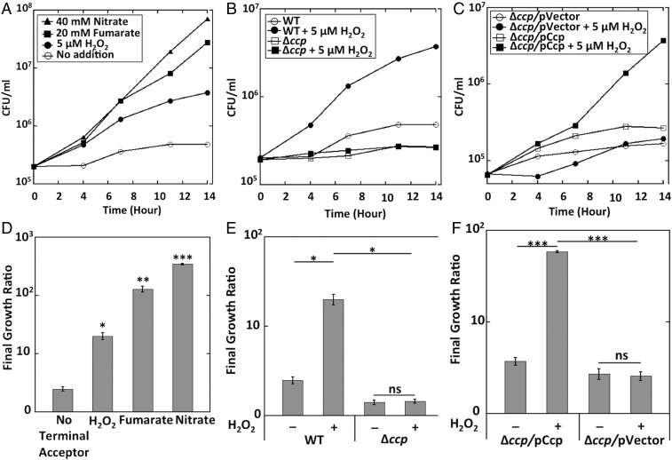 Fig. 8.