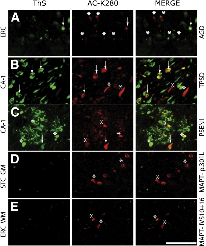 Figure 3