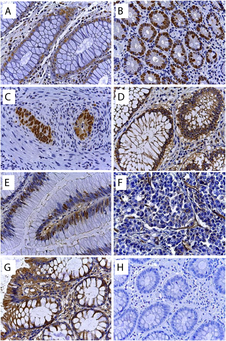 Fig. 3