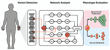 graphic file with name nihms-995928-f0001.jpg