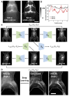 Figure 22