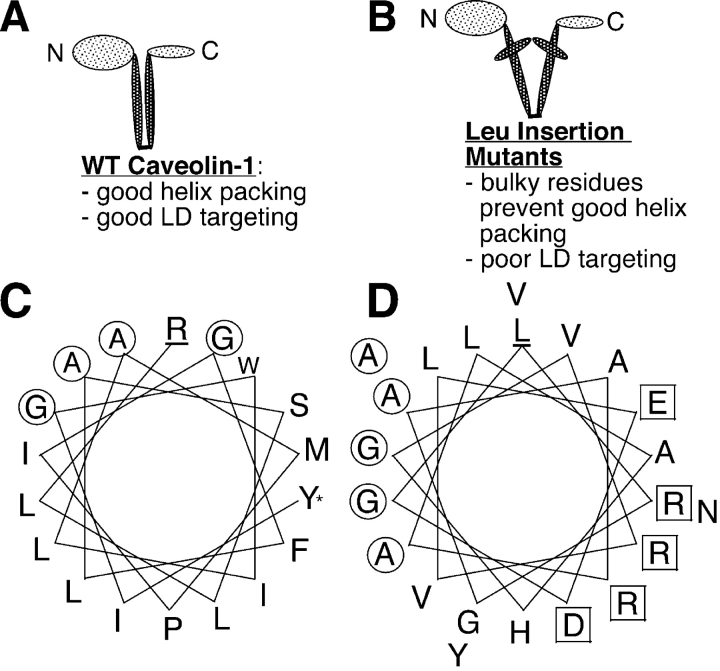 Figure 9.