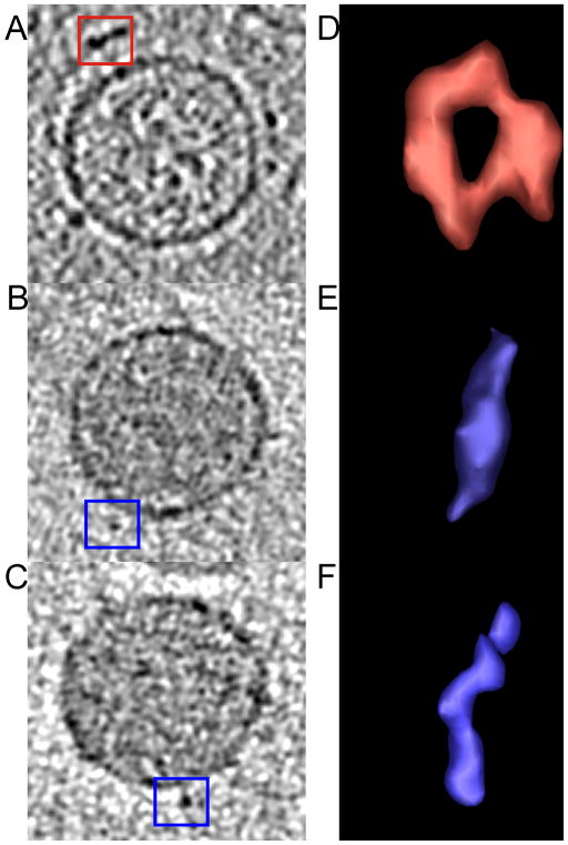 Fig. 6