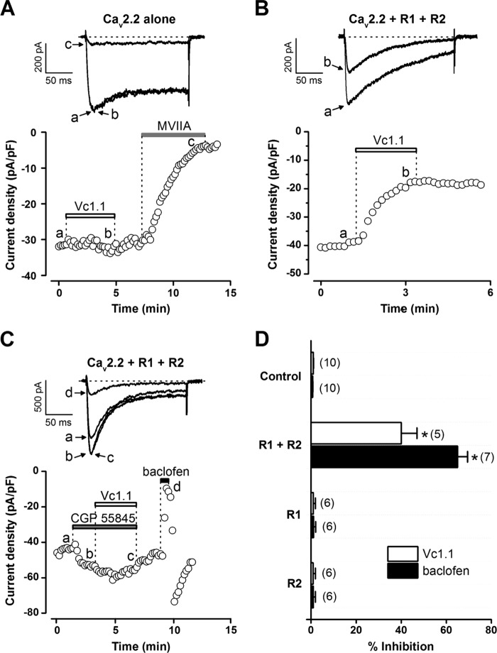 FIGURE 5.