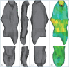 Fig. 2