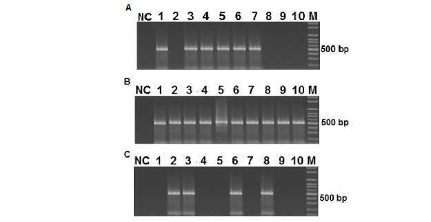 Figure 3S