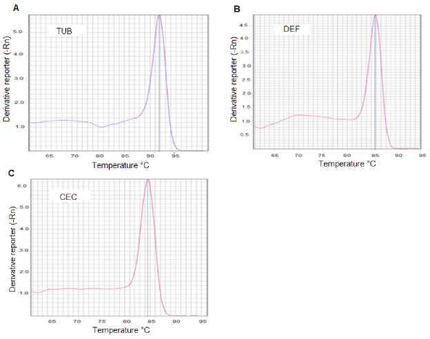 Figure 2S