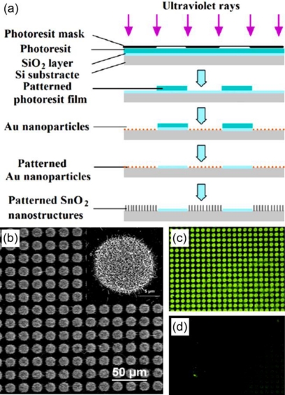 Figure 1.