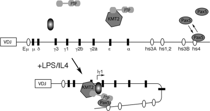 Fig. 8.