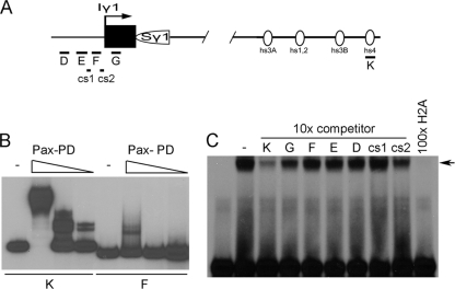 Fig. 6.