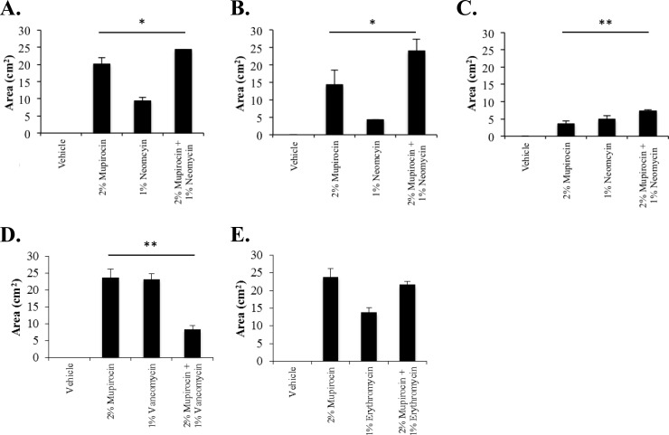 FIG 2