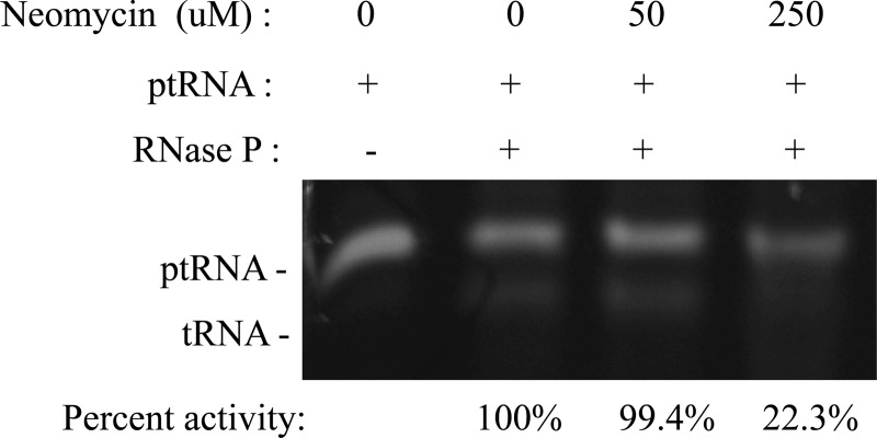 FIG 1