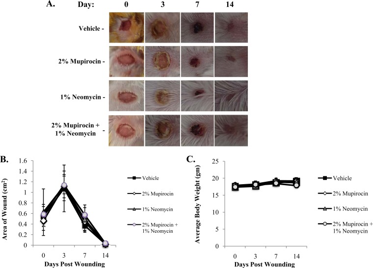 FIG 6