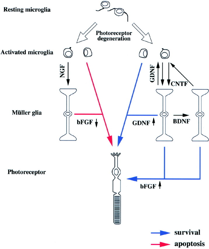 Fig. 6.