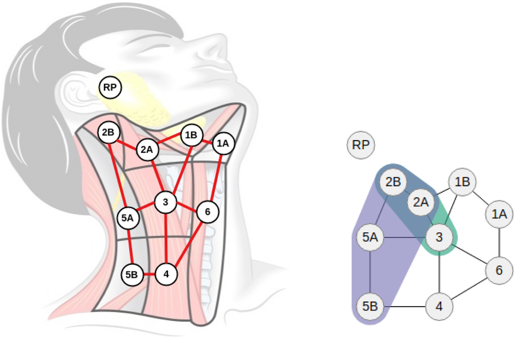 Figure 2: