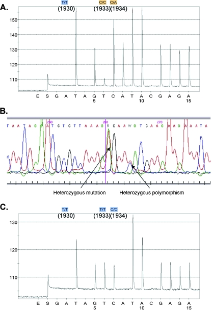 FIG. 1.