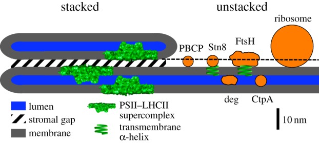 Figure 2.