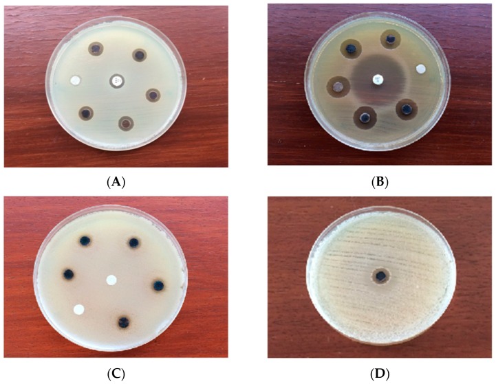 Figure 7