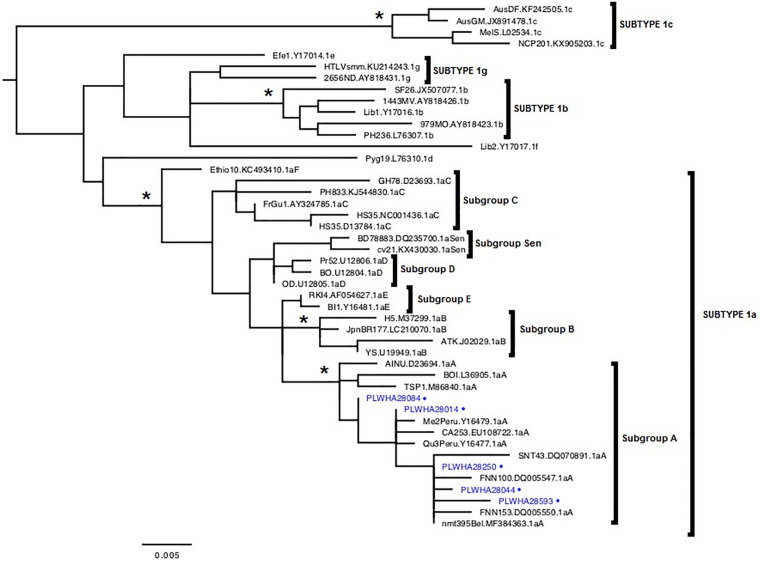 FIGURE 2