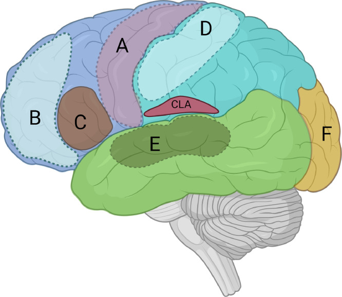 Fig 1