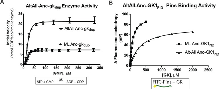 Figure 2—figure supplement 2.